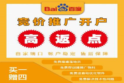 竞价广告赚钱：百度平台成功案例分析